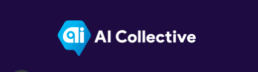 About AI Collective